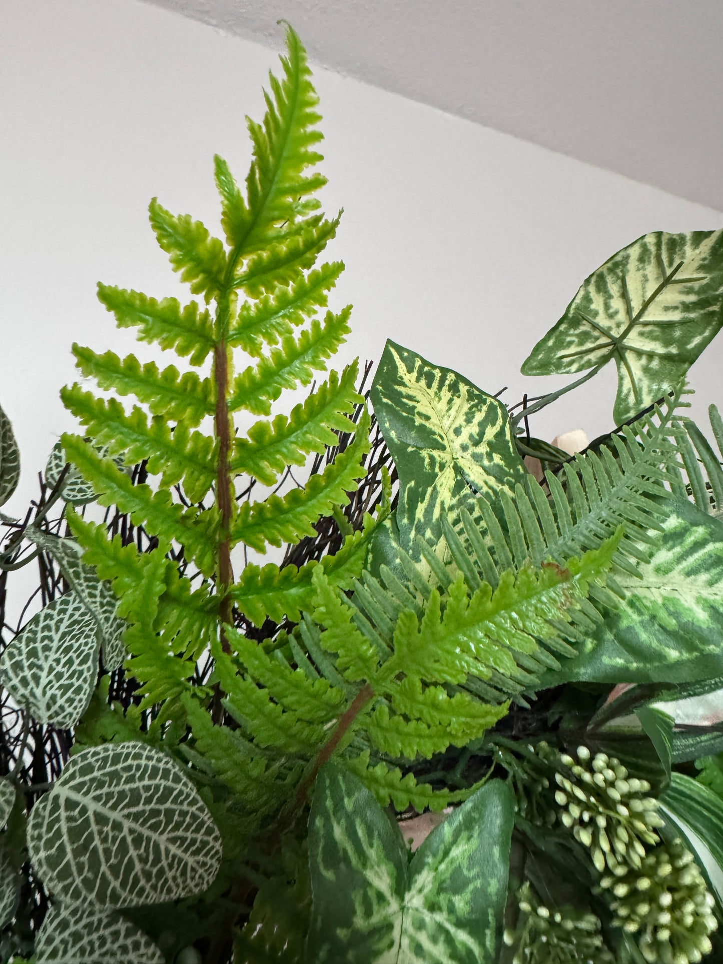 Luxury Botanical Greenery Wreath | Variegated Fern & Foliage Door Wreath | Everyday Front Door Decor | Designer Garden Wreath